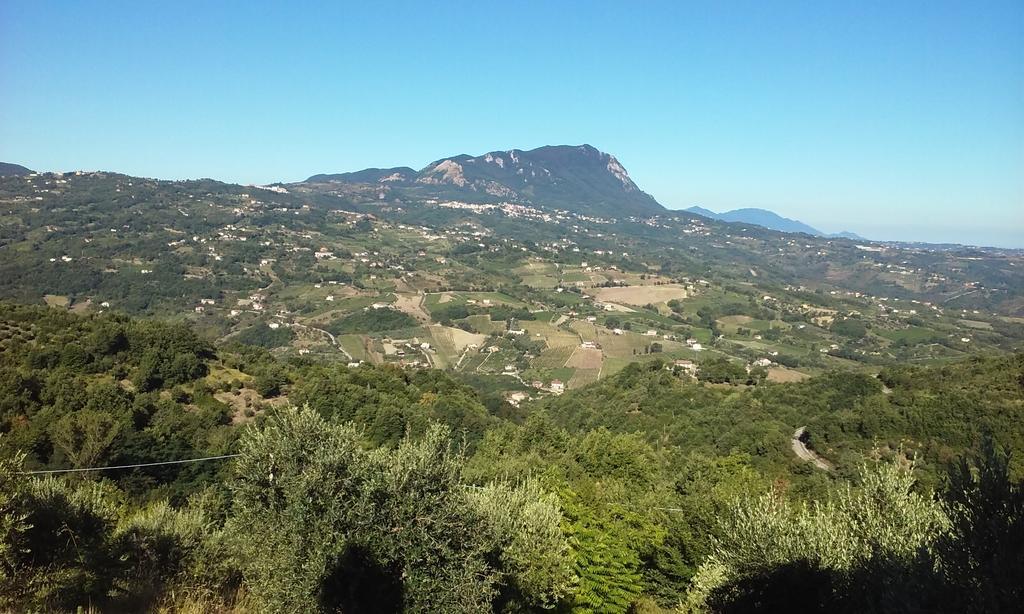 Agriturismo San Michele Paternopoli Exterior photo